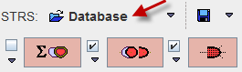 PCARD Data Loading Button